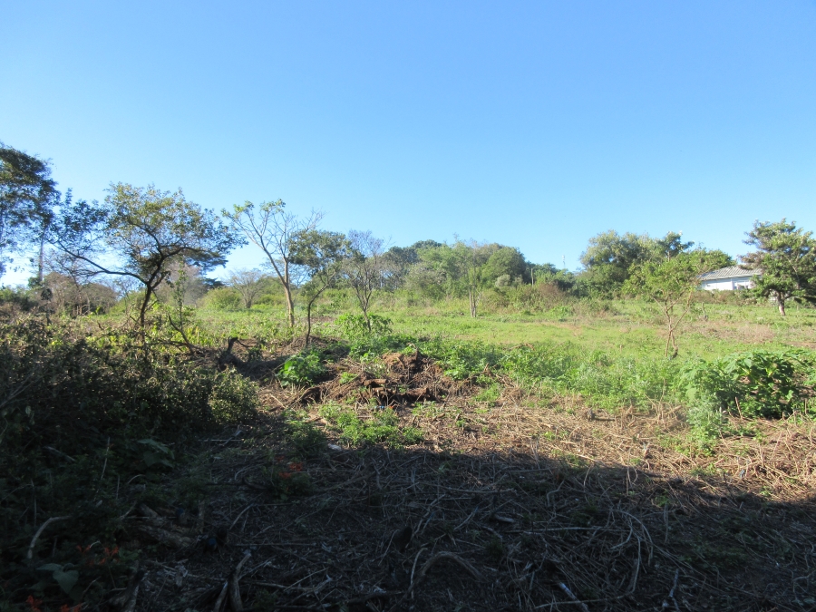 0 Bedroom Property for Sale in Bathurst Eastern Cape